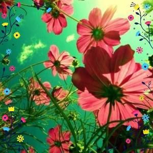 Meet your Posher, Dirouhi